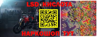 индика Краснокаменск