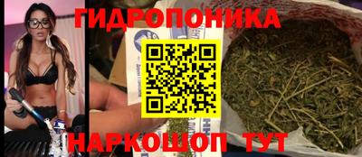 индика Краснокаменск