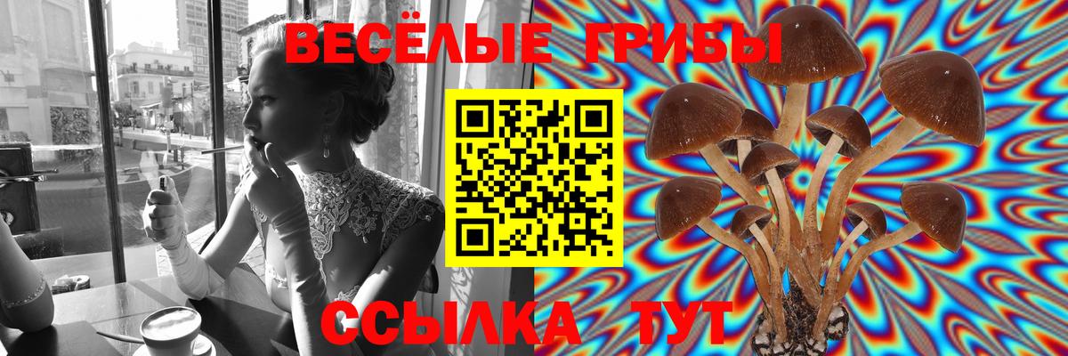 Клин  Галлюциногенные грибы Magic Shrooms  цена   Вход с VPN 