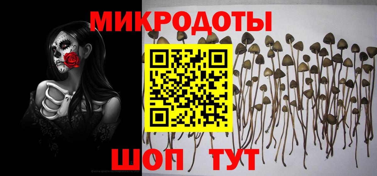 Галлюциногенные грибы Psilocybe Клин