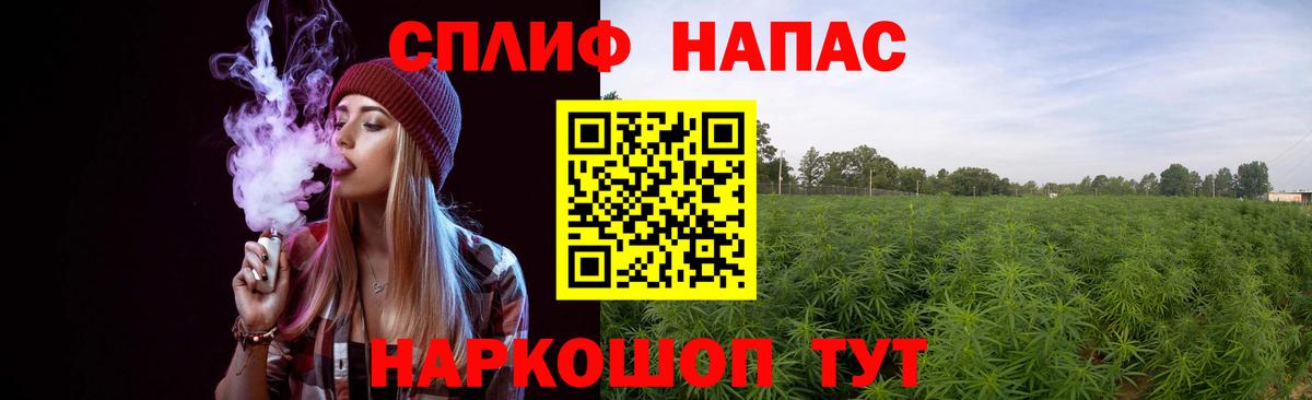Каннабис планчик  Каннабис тримм  Клин  Марихуана ГИДРОПОН  Конопля Ganja  Вход с VPN 